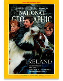 three-irish-boys-with-horse